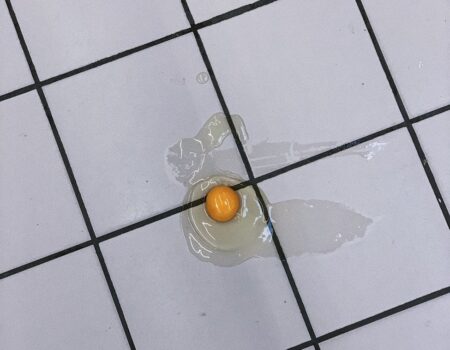 broken egg without shell on tiled floor