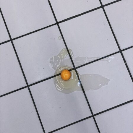 broken egg without shell on tiled floor